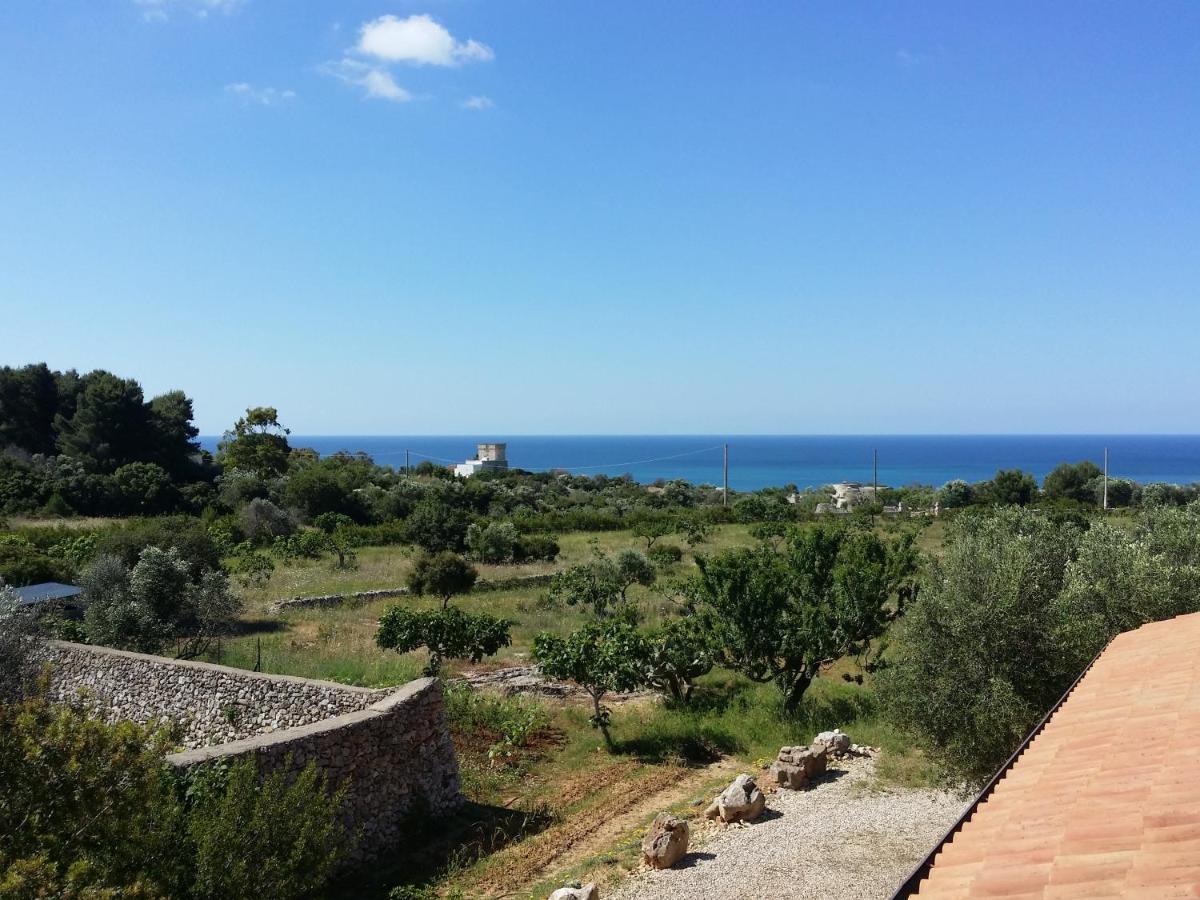 Antica Masseria Ficazzana - Tenuta Marina Di Pescoluse Eksteriør billede